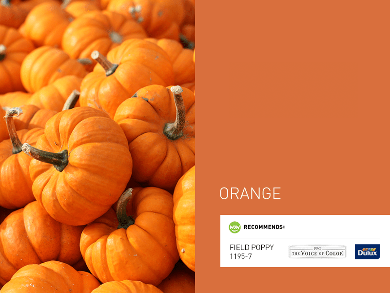 October 2018 ORANGE WOW 1 DAY PAINTING